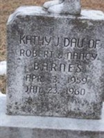 Kathy J Barnes