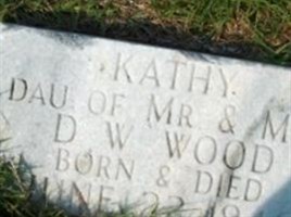 Kathy Wood Kathy Wood
