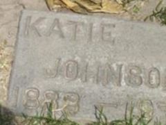 Katie Frances Landers Johnson Katie Frances Landers Johnson