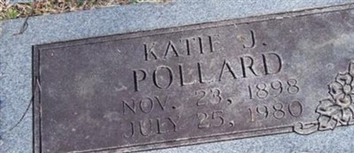 Katie J Pollard