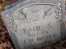 Katie S Boyce
