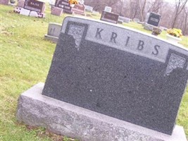 Kelly Elwyn Kribs