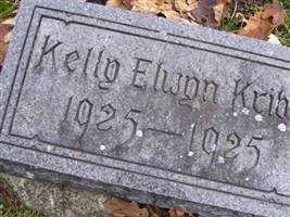 Kelly Elwyn Kribs