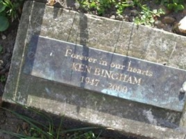 Ken Bingham