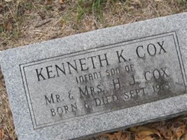 Kenneth K Cox