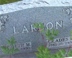 Kenneth M Larson Kenneth M Larson