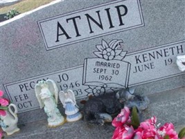 Kenneth R. Atnip Kenneth R. Atnip