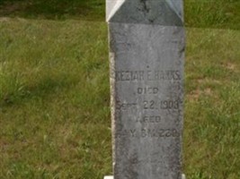 Keziah E. Knight Hanks