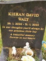 Kieran David Walt