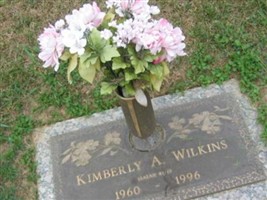 Kimberly A Wilkins