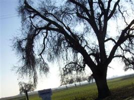 Kings River Cemetery