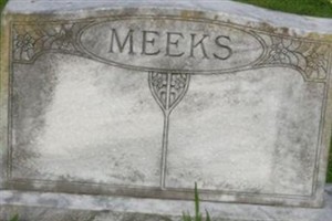 Kirksie Ginn Meeks