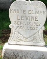Knute Elmer Levine Knute Elmer Levine