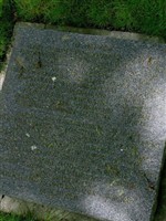 Kriegsfreiwilliger Friedrich Niege