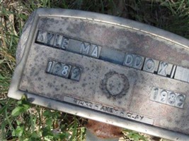 Kyle Maddox