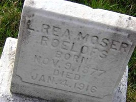 L Rea Moser Roelofs L Rea Moser Roelofs