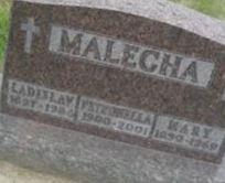 Ladislav R Malecha