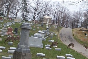 Lake Forest Cemetery