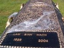Lam Binh Mach Lam Binh Mach