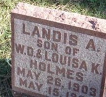 Landis A Holmes