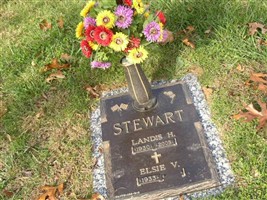 Landis H Stewart
