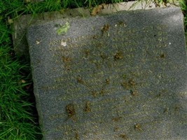 Landssturmmann Josef Stallinger