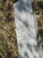 Langdon L Wallace Langdon L Wallace