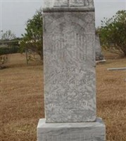 Lara E. Robbins