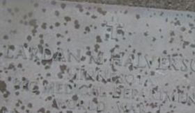 Lardan M. Halverson Lardan M. Halverson