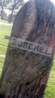 Large Stone Boschel