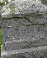 Large Stone Tanner