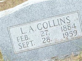 Larkin Andrew "Andy" Collins Larkin Andrew "Andy" Collins