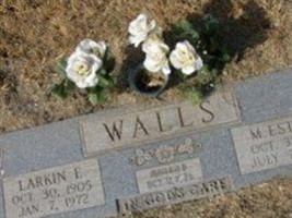 Larkin E Walls Larkin E Walls