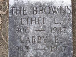 Larry E. Brown