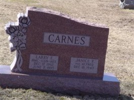 Larry E. Carnes Larry E. Carnes