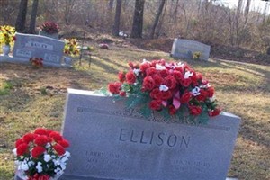 Larry Ellison