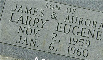 Larry Eugene Cheek Larry Eugene Cheek