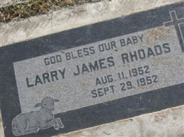 Larry James Rhoads