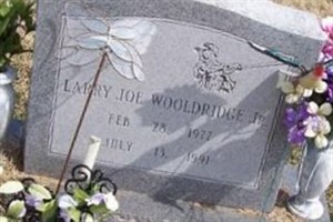 Larry Joe Wooldridge, Jr