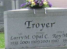 Larry M Troyer
