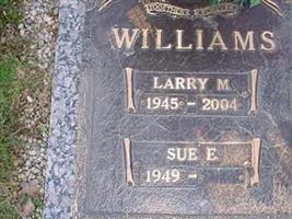 Larry M Williams