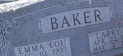 Larry Newton Baker Larry Newton Baker
