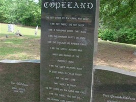 Larry Wayne Copeland