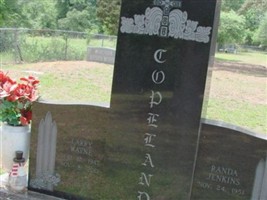 Larry Wayne Copeland