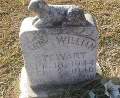 Larry William Stewart