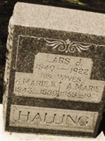 Lars J Halling Lars J Halling