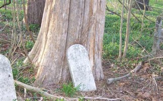 Lassiter Cemetery #5 Lassiter Cemetery #5