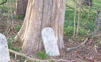 Lassiter Cemetery #5