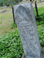 Laura A Atchison