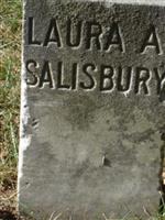 Laura A. Salisbury